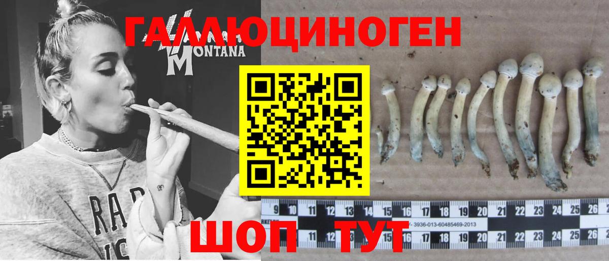 Псилоцибиновые грибы мицелий  Вход с VPN  Бердск 